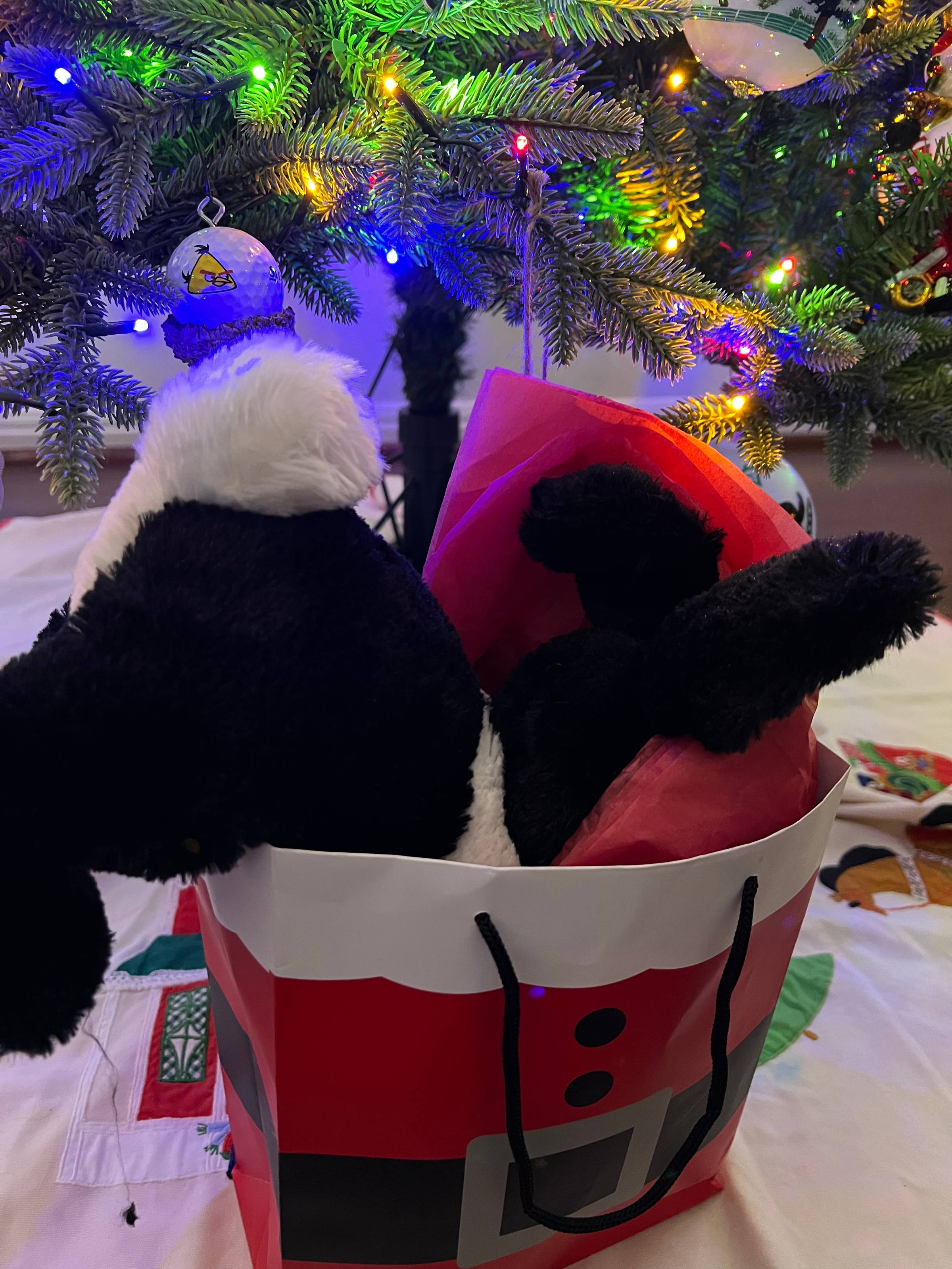 Festive Christmas scene with a decorated tree and a Santa-themed gift bag. A black and white stuffed bunny peeks playfully from the top of the bag, surrounded by red tissue paper, evoking holiday joy and surprise.