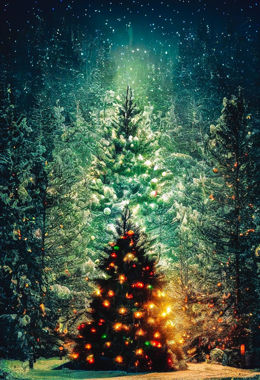 Snowy forest at night with a glowing Christmas tree decorated in colorful lights and ornaments. The words ‘Merry Christmas!’ appear below, celebrating the warmth and wonder of the season.