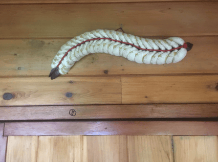 Photo of a trilobite model made from clam shells, created by Michael as a tribute to ancient life and memory.
