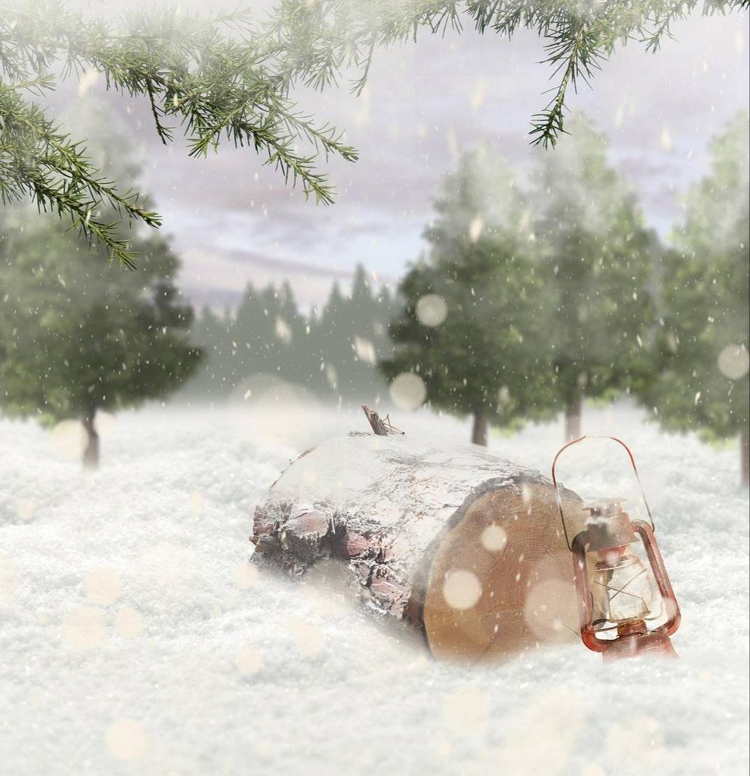 Snow-covered log and lantern rest in a quiet winter scene framed by pine branches, with falling snow, evergreen trees, and a cloudy sky creating a peaceful, festive atmosphere.