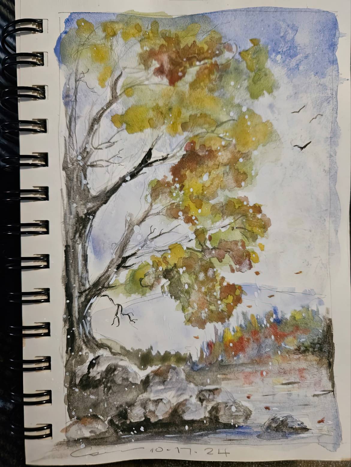 Watercolor journal page with sky and birds above and rocky stream below — a quiet study in nature’s balance.