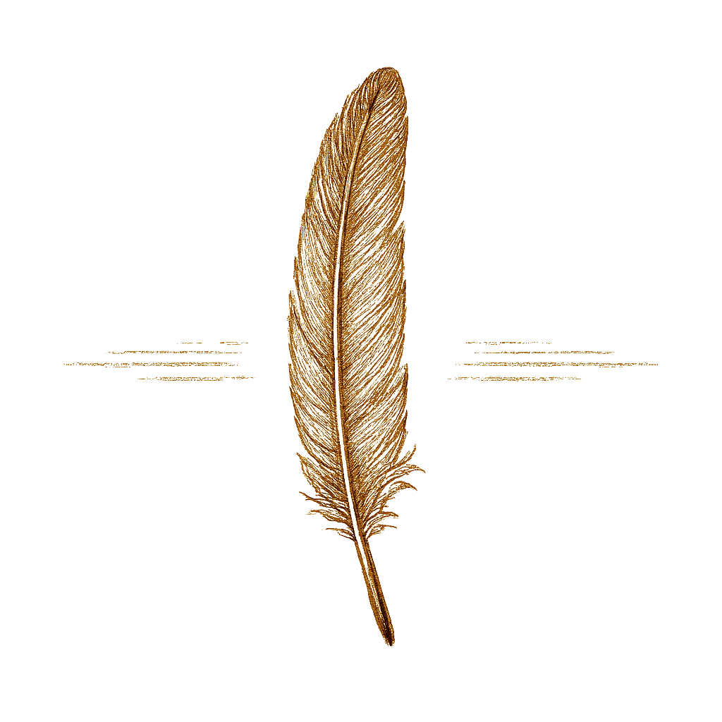 Single feather illustration used as a gentle divider — symbol of wisdom, clarity, and seasonal transition.