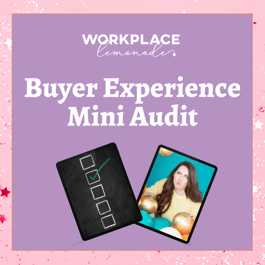 Mini Buyer Delivery Audit