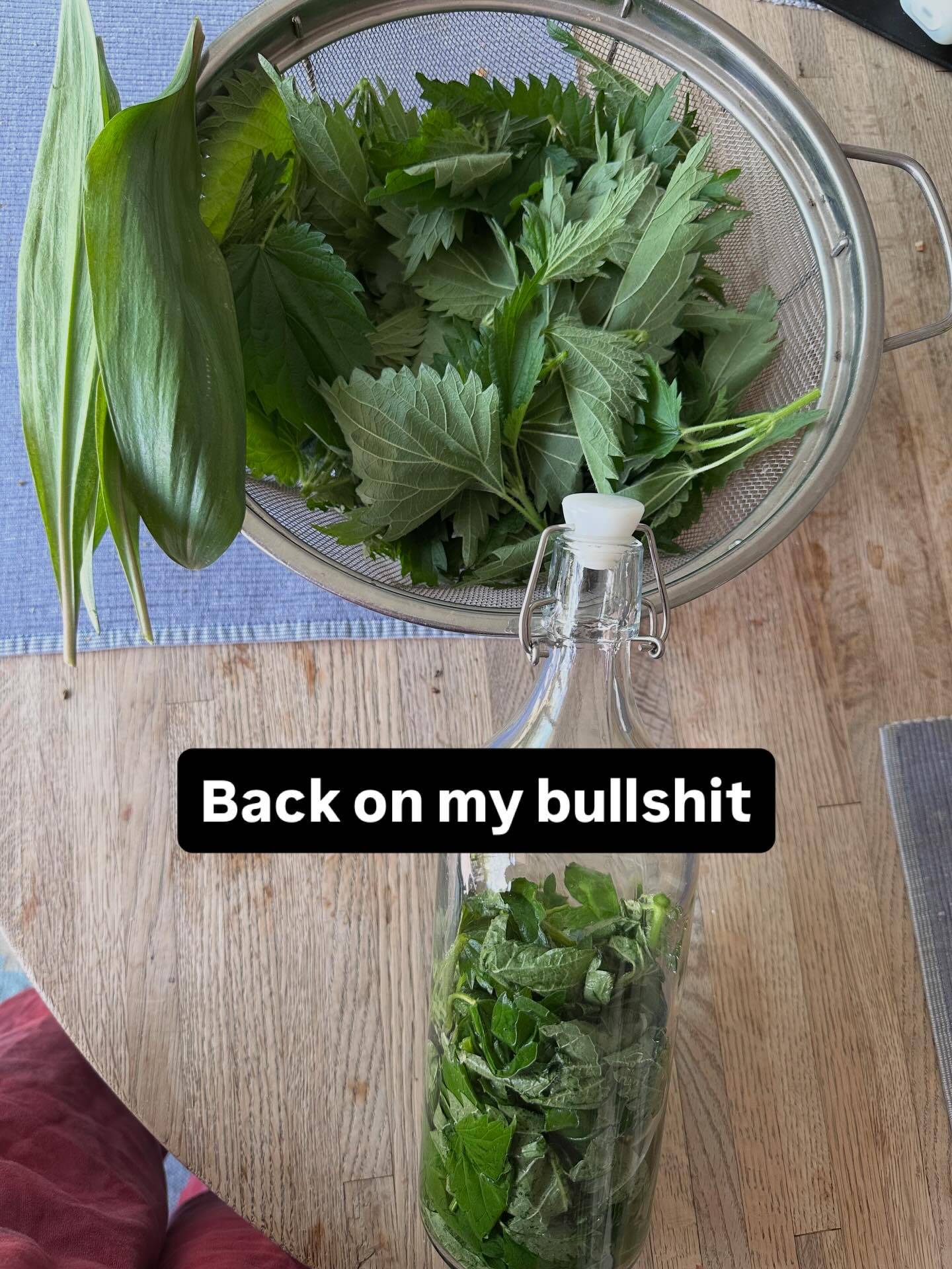 Day off, doing 8 things at once.
First big nettle harvest - making soup and nettle tincture. Also harvested some of my ramps for the first time - this patch was established a few years ago, with plants from Wellswept Farm. 
Mom is doing her spring thing, dandelion flower jelly (we call it vegan honey, since it’s just pollen, flower bits, nectar, sweetener, and pectin. Some pandemic recipes are too cool to stop making, honestly.
I am dyeing secondhand clothes with as little water as possible and with the only heat coming from the sun. The box is an old fishtank, and I seal the end with some scrap glass to let the heat really build up in the warm part of the day. I let this steep for about 3-4 days, and then wash. I added rusty rebar to the dye bath this time for fun.