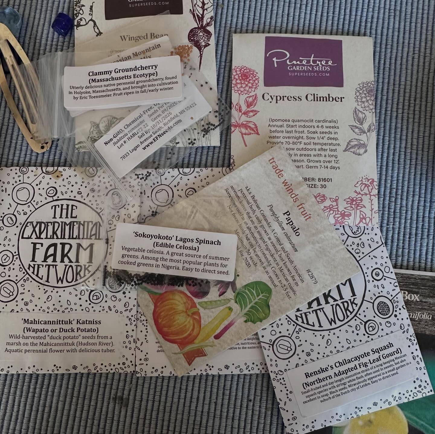 Happy Spring! I opened the fridge this morning to look at my seed wealth ha ha ha. Time to get garden-ready!