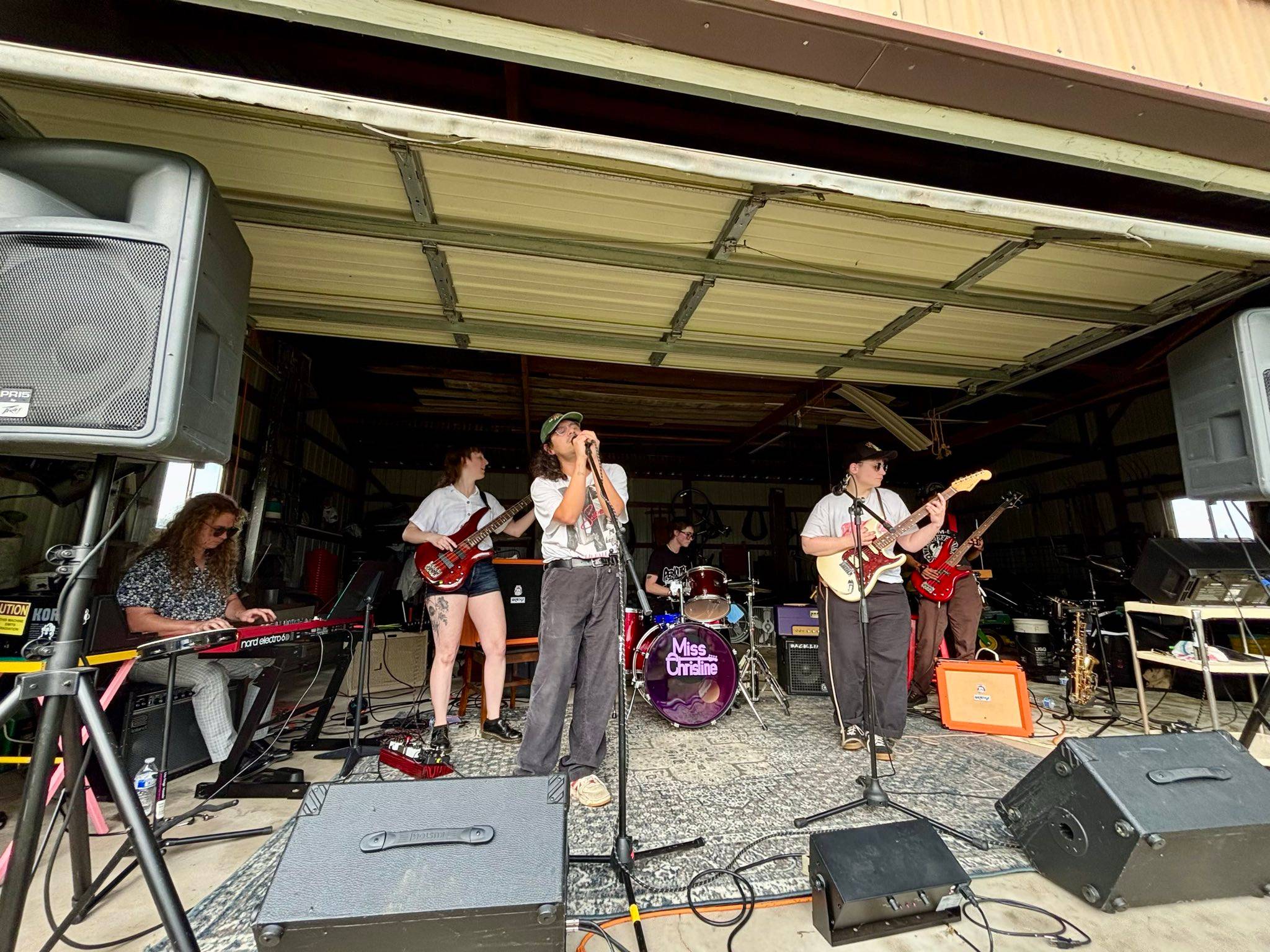 The Theys and the Thems performing
