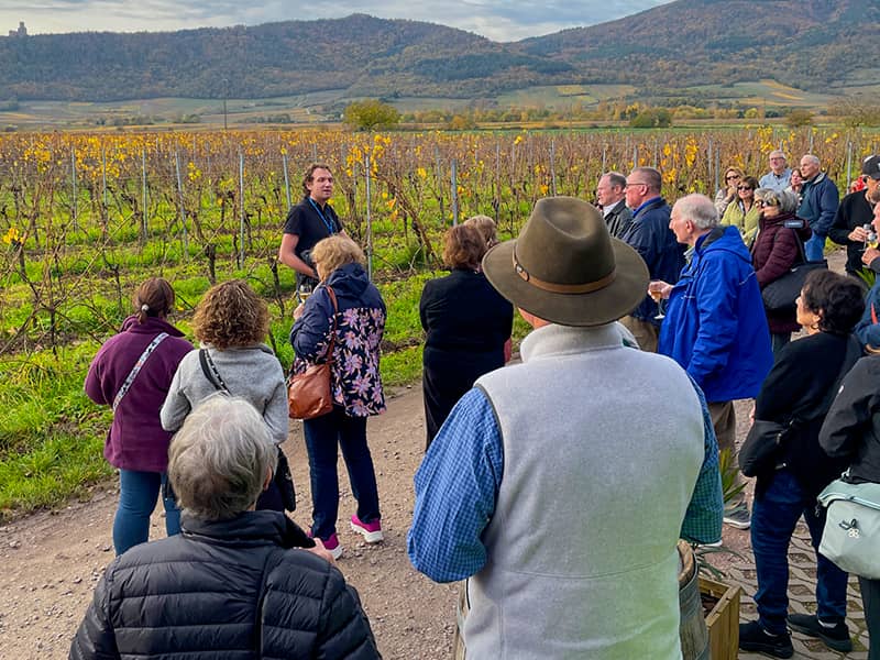 people on a vineyard tour on a Tauck tour