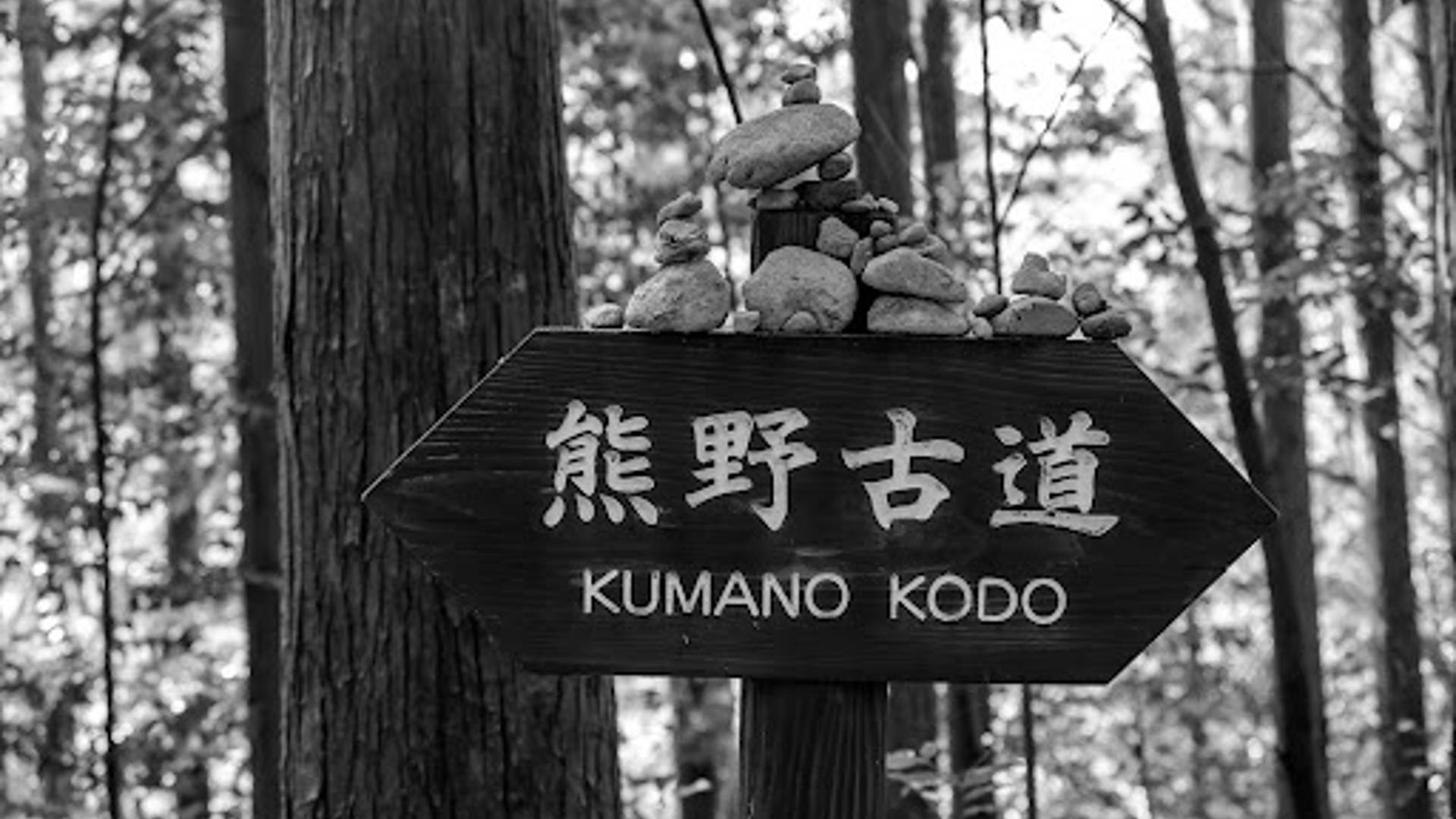 (photo credit: Takashi Sugimoto)