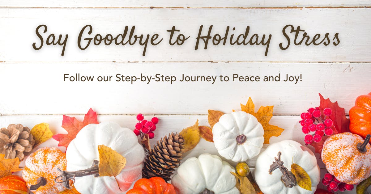 Say Goodbye to Holiday Stress. Follow our Step-by-Step Journey to Peace & Joy!