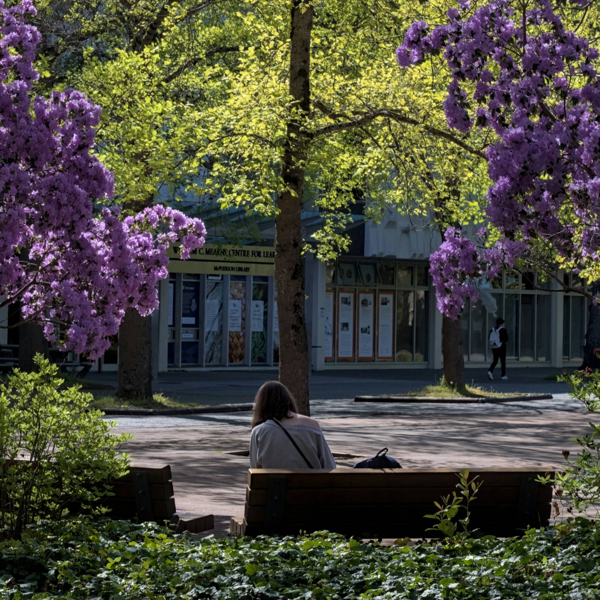 A person sitting on a bench in front of the University of Victoria 