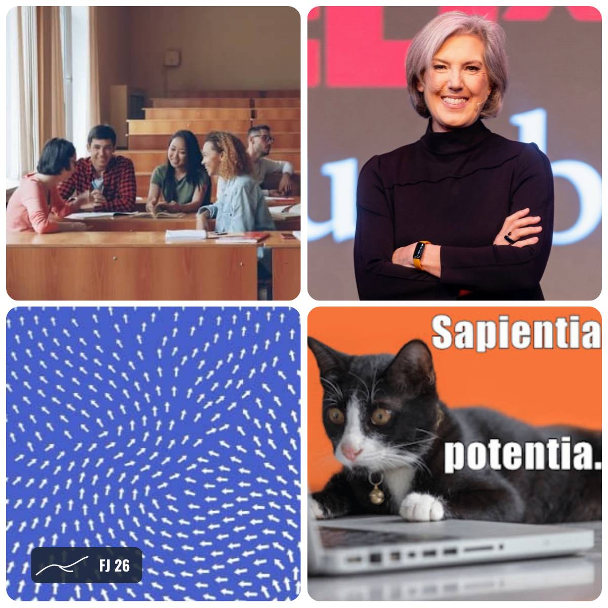 Grid of images from this week's Field Journal