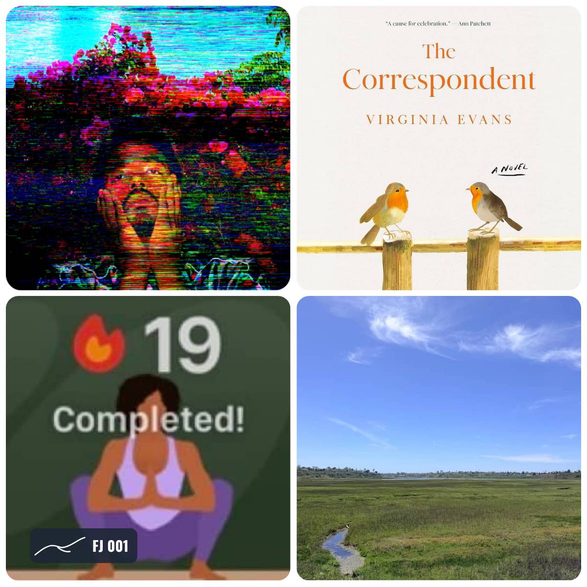 Grid of photos from this week's Field Journal