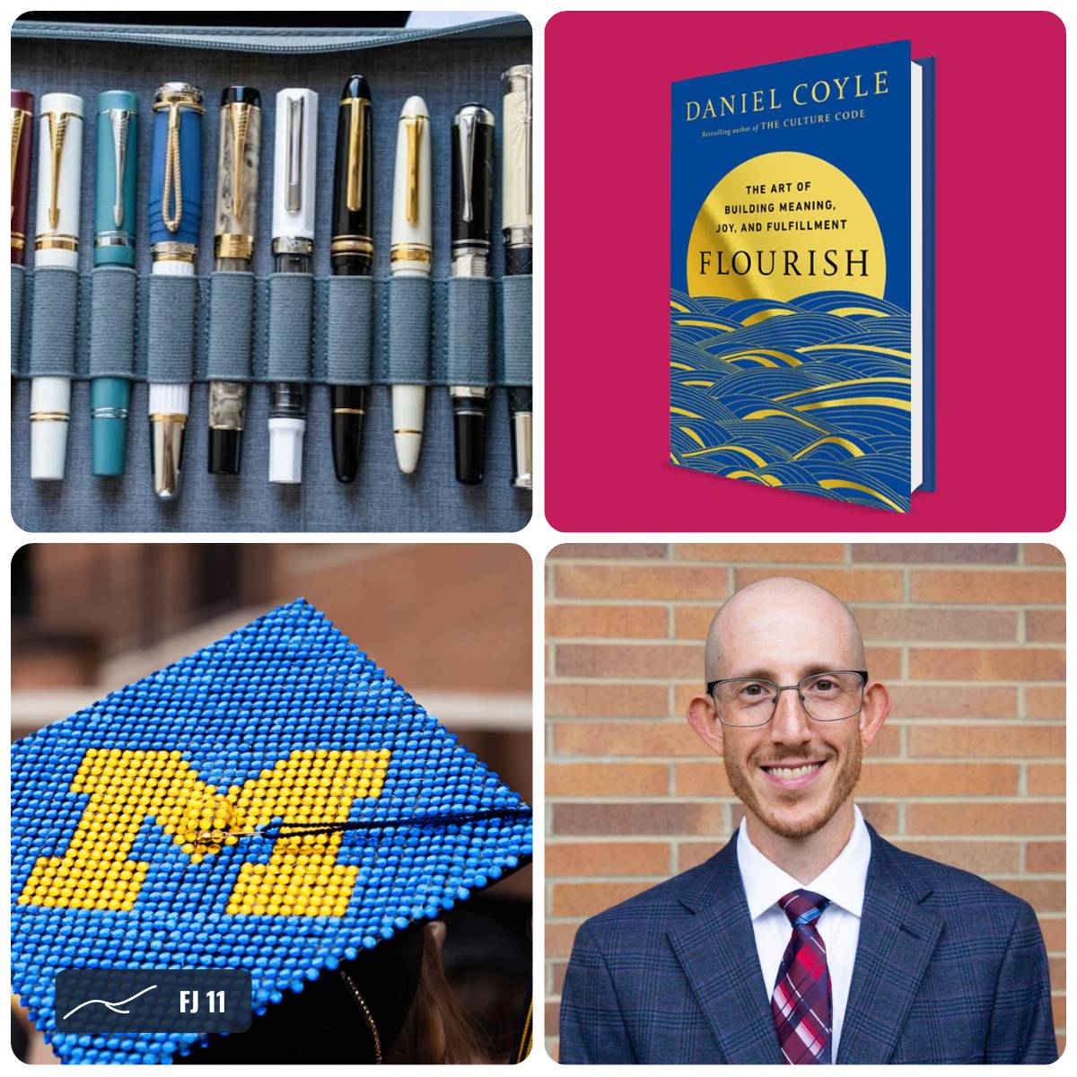 Grid of images from this week's Field Journal
