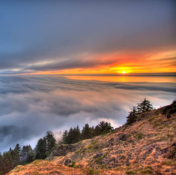 Beautiful sunset with clouds and trees in the foreground