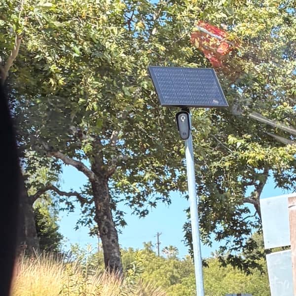 Automated license plate reader with green trees behind it
