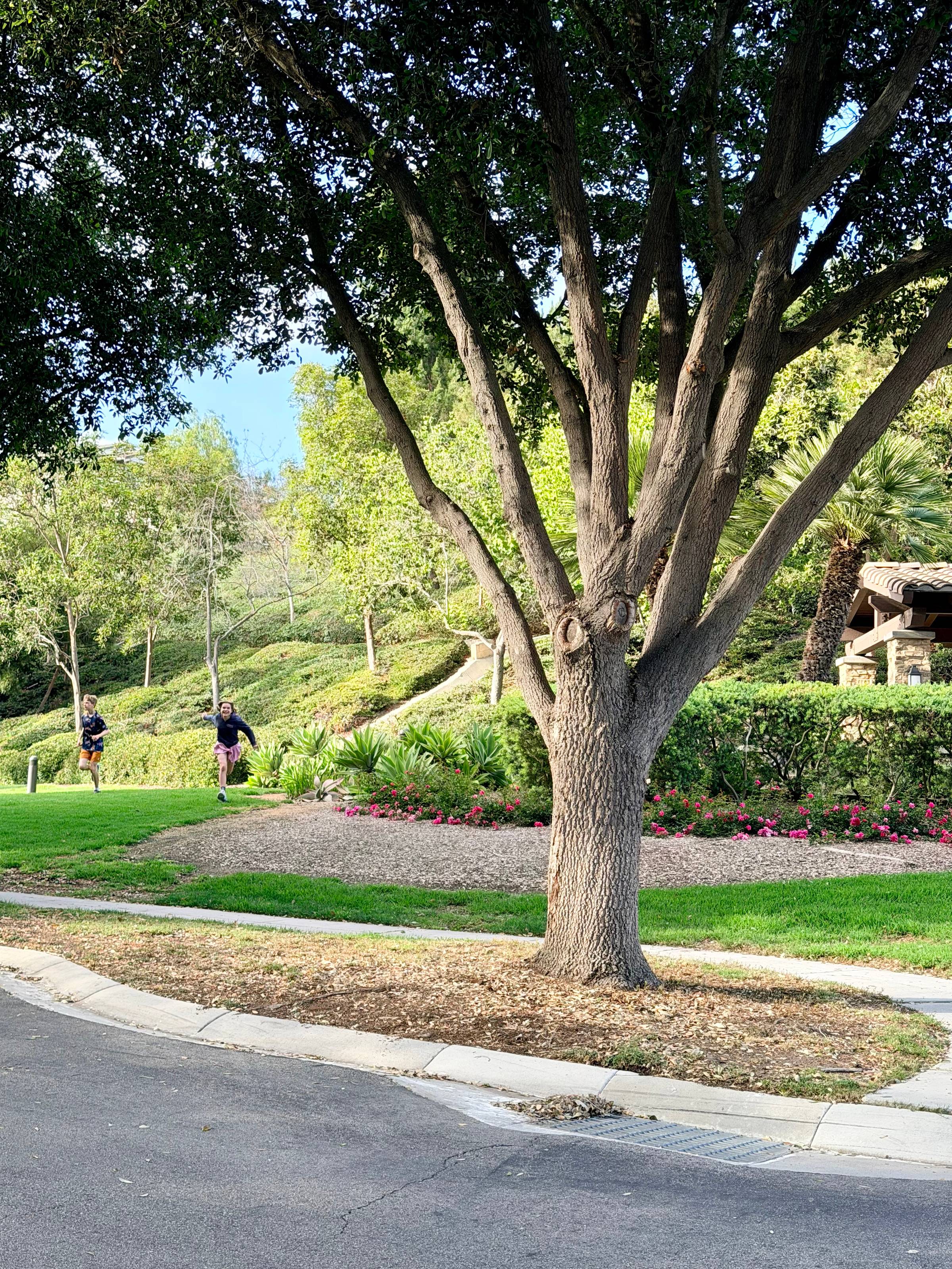 two kids run in the grass toward the camera/their mom