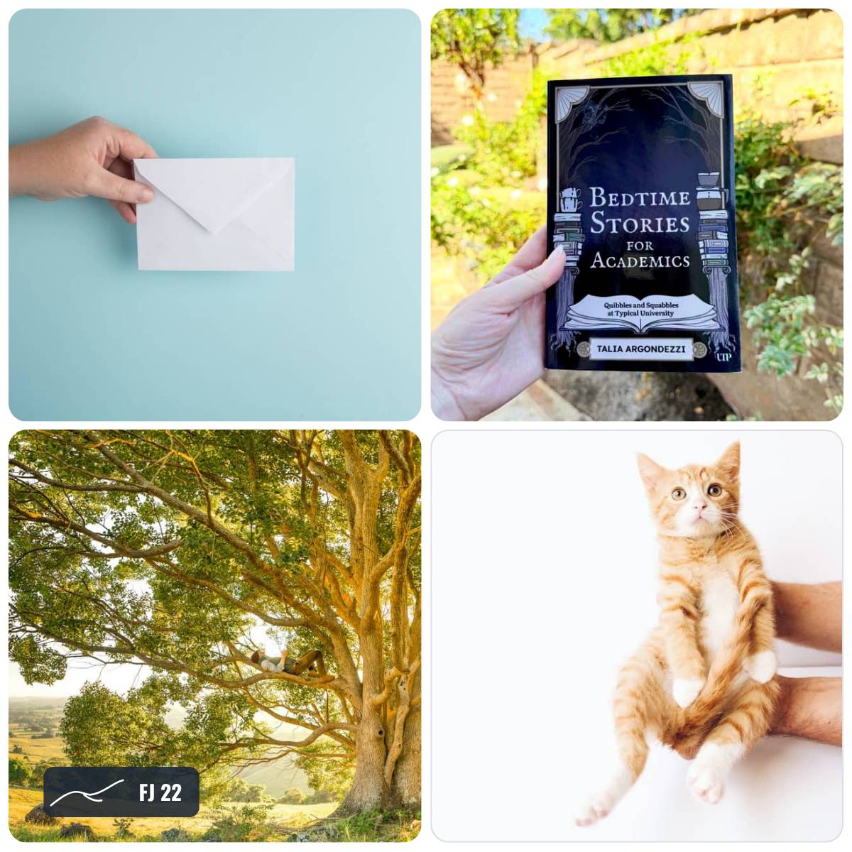 Grid of images from this week's Field Journal