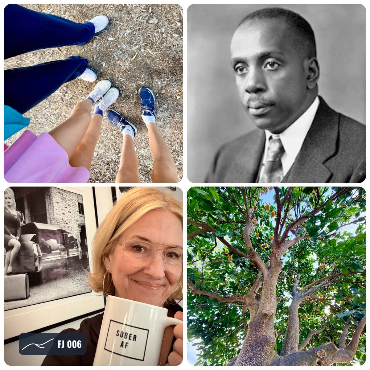 Grid of photos from the Field Journal