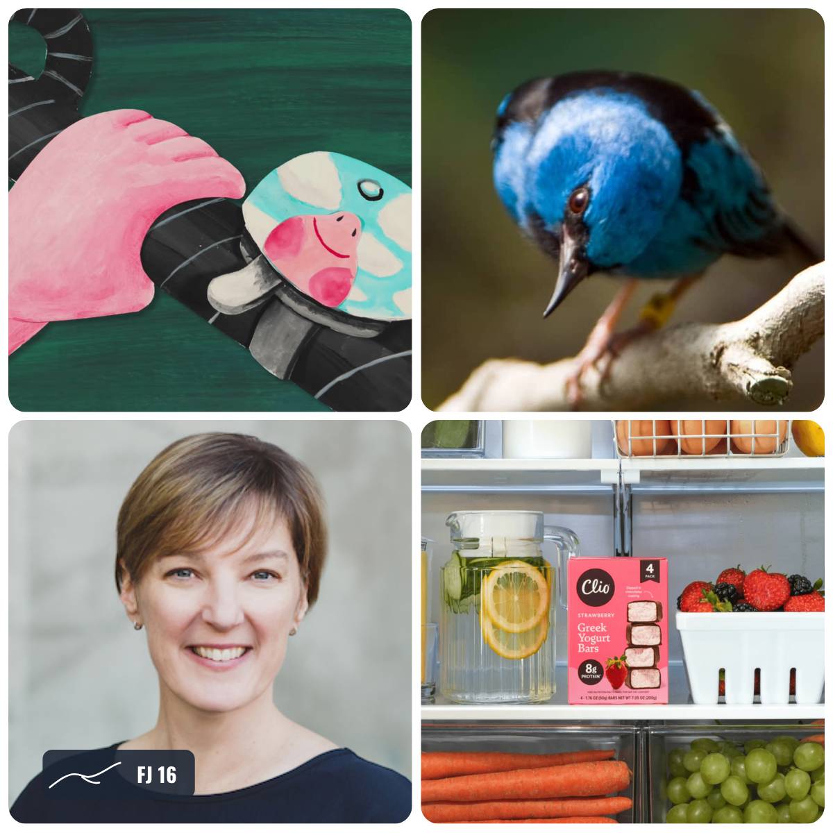Grid of photos from this week's Field Journal