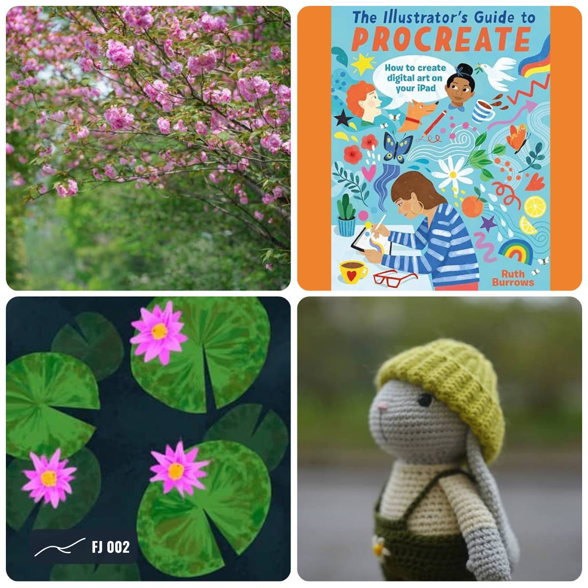 Grid of photos from this week's Field Journal
