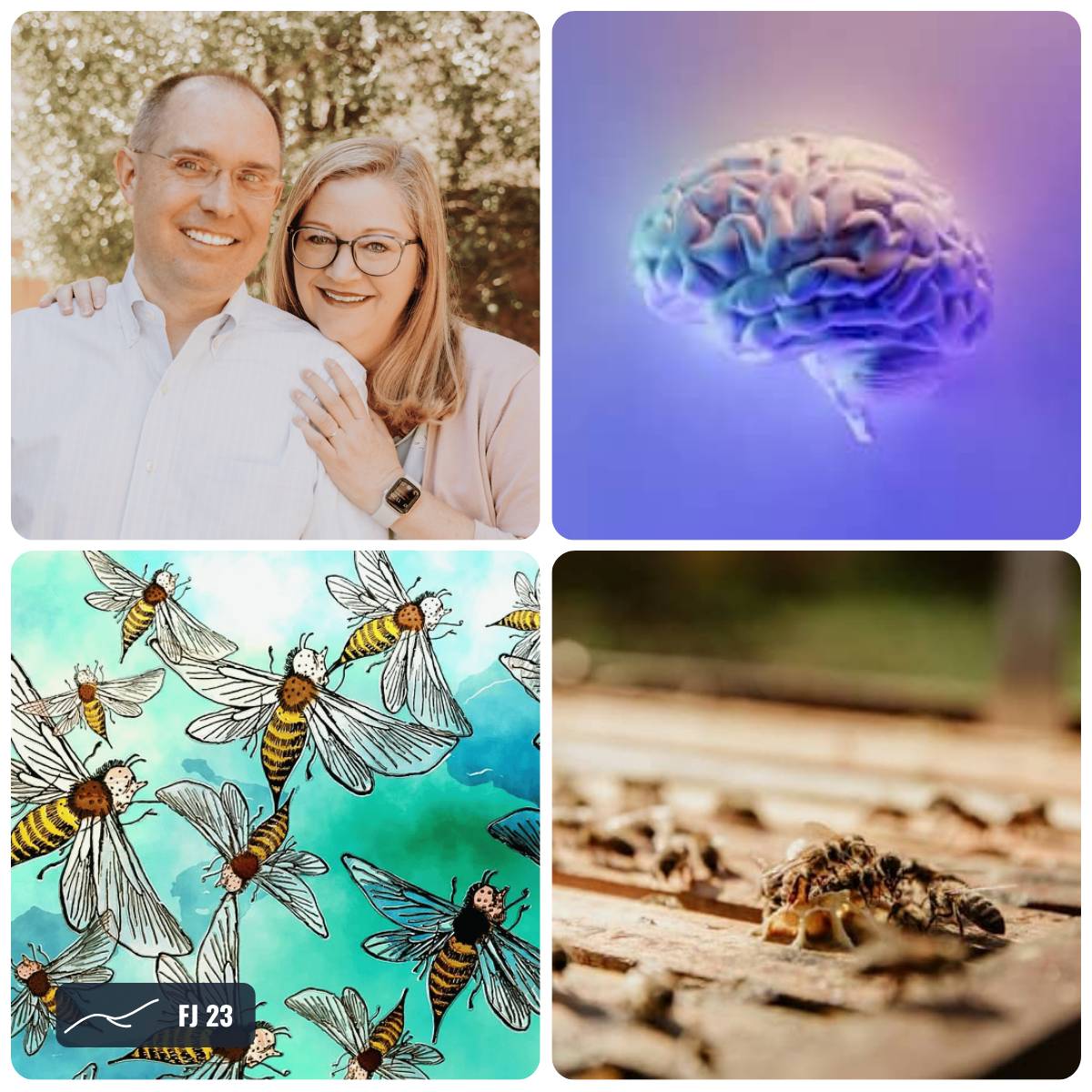 Grid of photos from this week's Field Journal