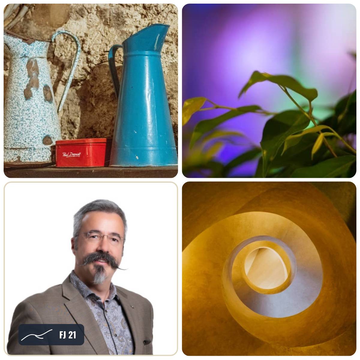 Grid of images from this week's Field Journal
