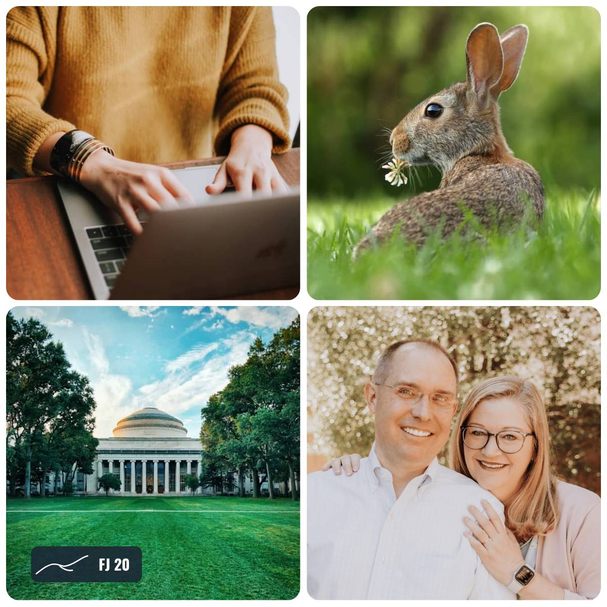 Grid of photos from this week's Field Journal