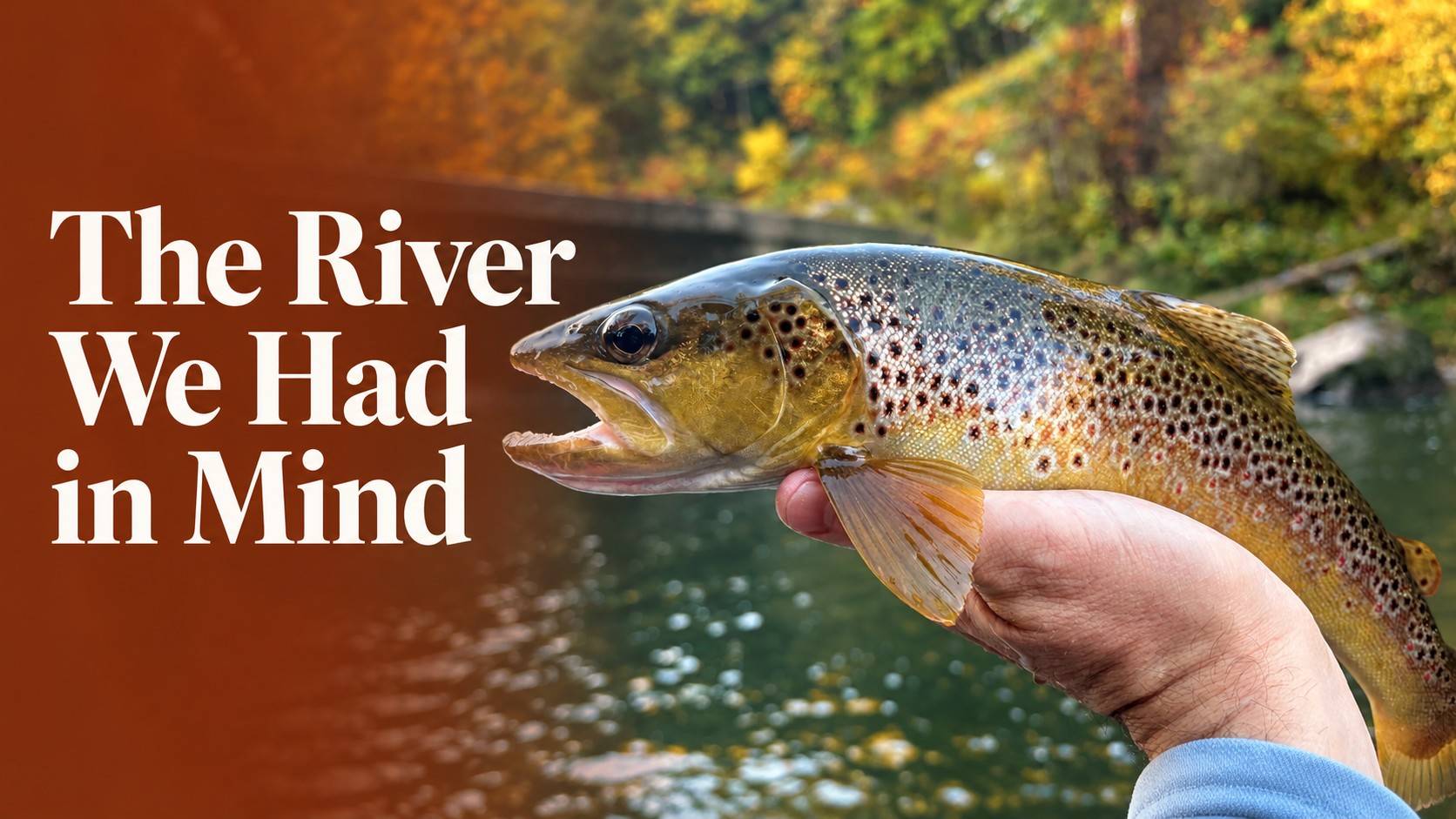 The River We Had in Mind