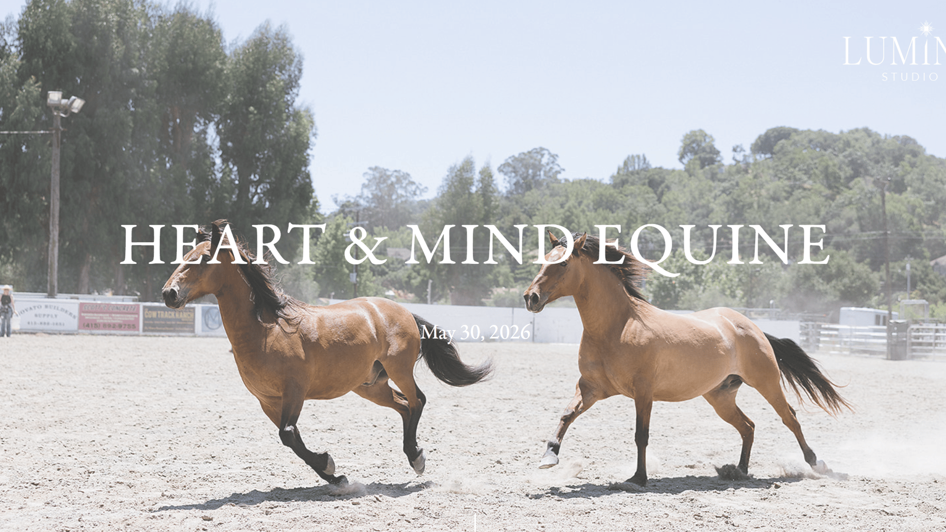 Beautiful horses running together at Heart and Mind Equine