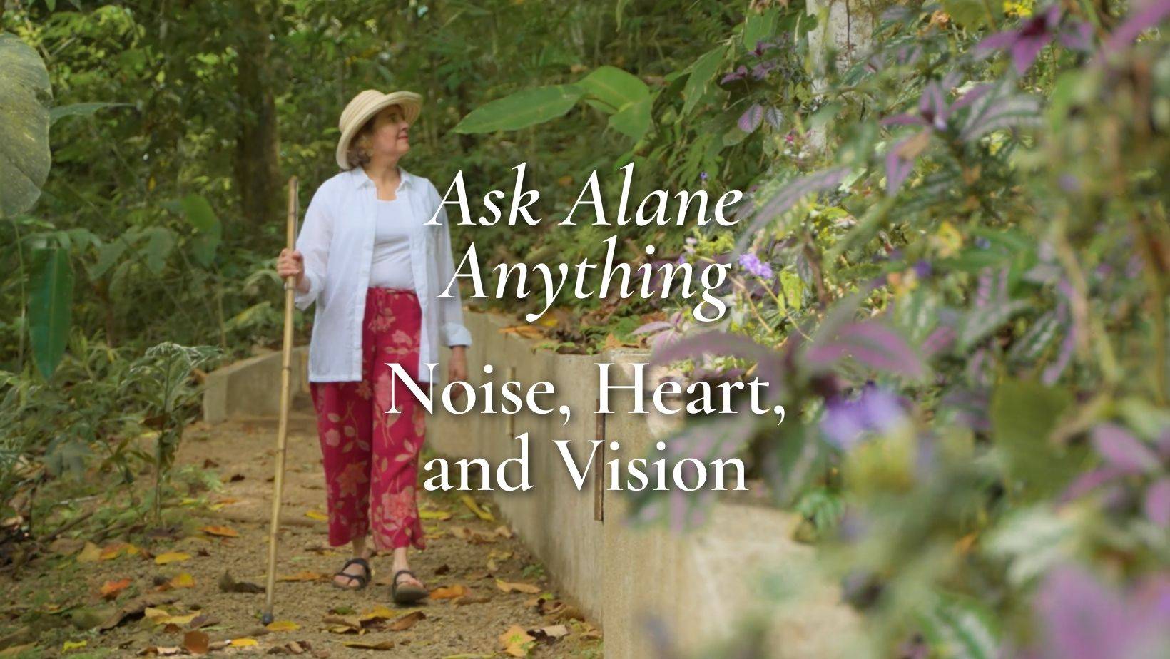 Walking in the jungle.