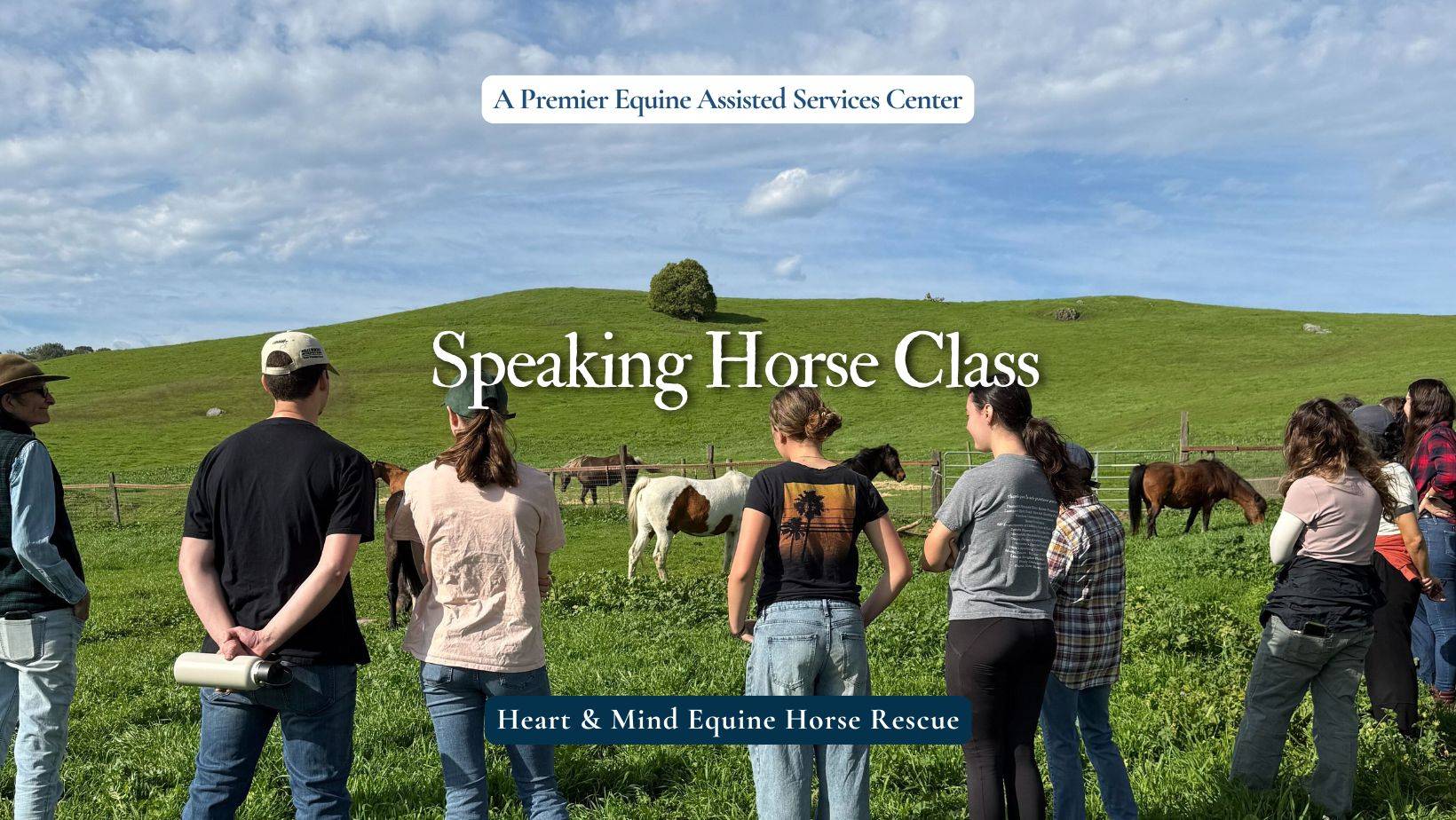 Group of people standing in a green pasture with a herd of horses. There's a blue sky with gentle clouds in the background.