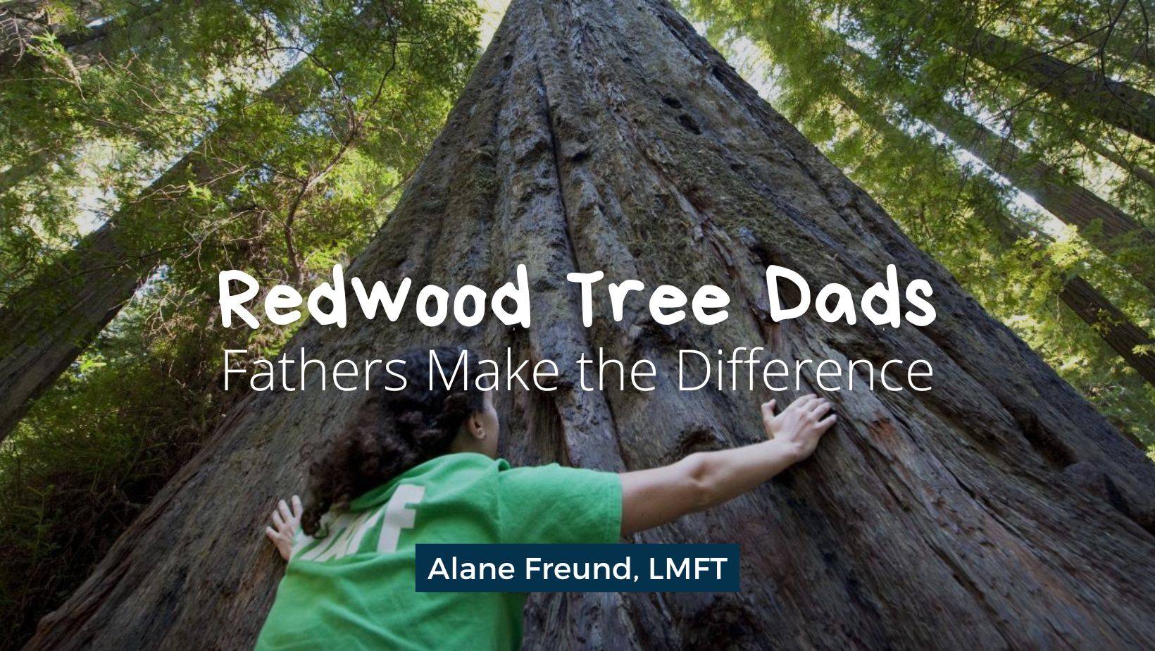 Child spreading arms on a giant Coastal Redwood tree. Text: Redwood Tree Dads: Fathers Make the Difference with Alane Freund, LMFT