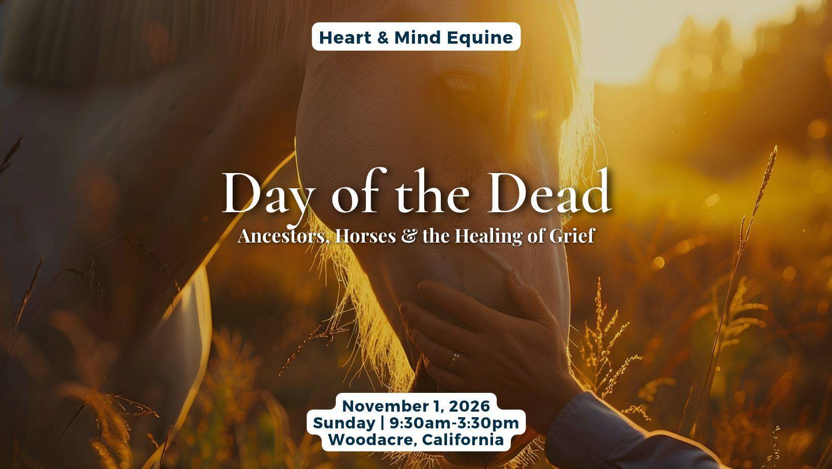 Man's hand touching horse's muzzle at sunset, in golden light. Day of the Dead retreat with horses on Nov. 1, 2026, at Heart and Mind Equine, Woodacre, CA