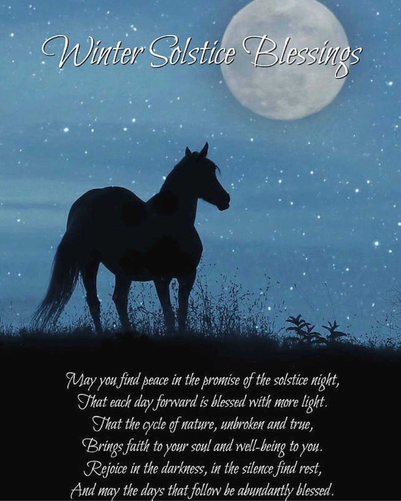 dark silhouette of a horse in front of a starry night sky and the blessing: May you find peace in the promise of the solstice light, that each day forward is blessed with more light.