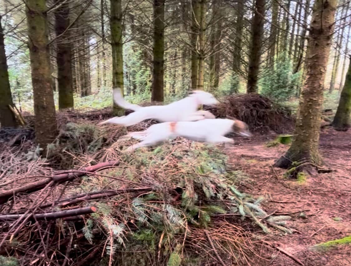 Spring - Join Haumea Ecoversity