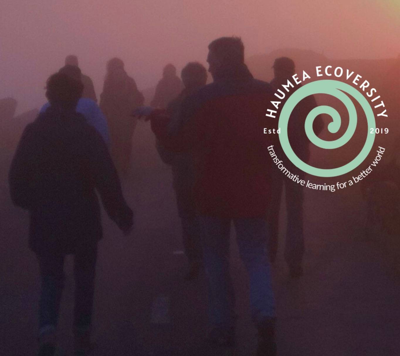 Join Haumea Ecoversity - your queries answered