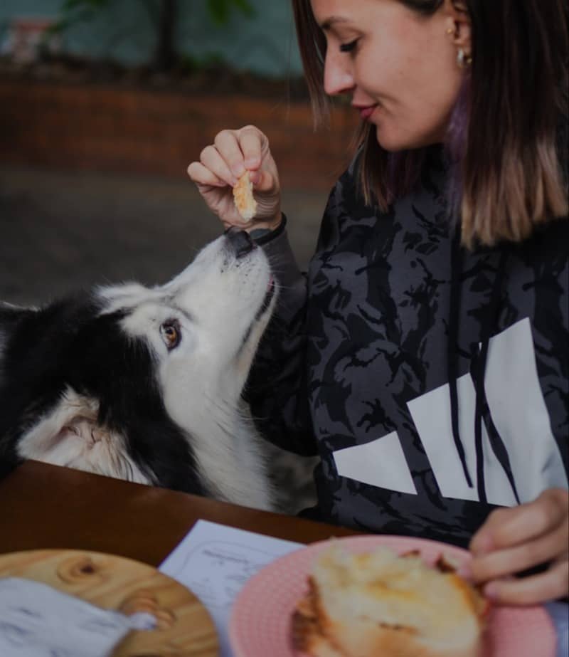A woman feeding a piece of bread to a black and white husky