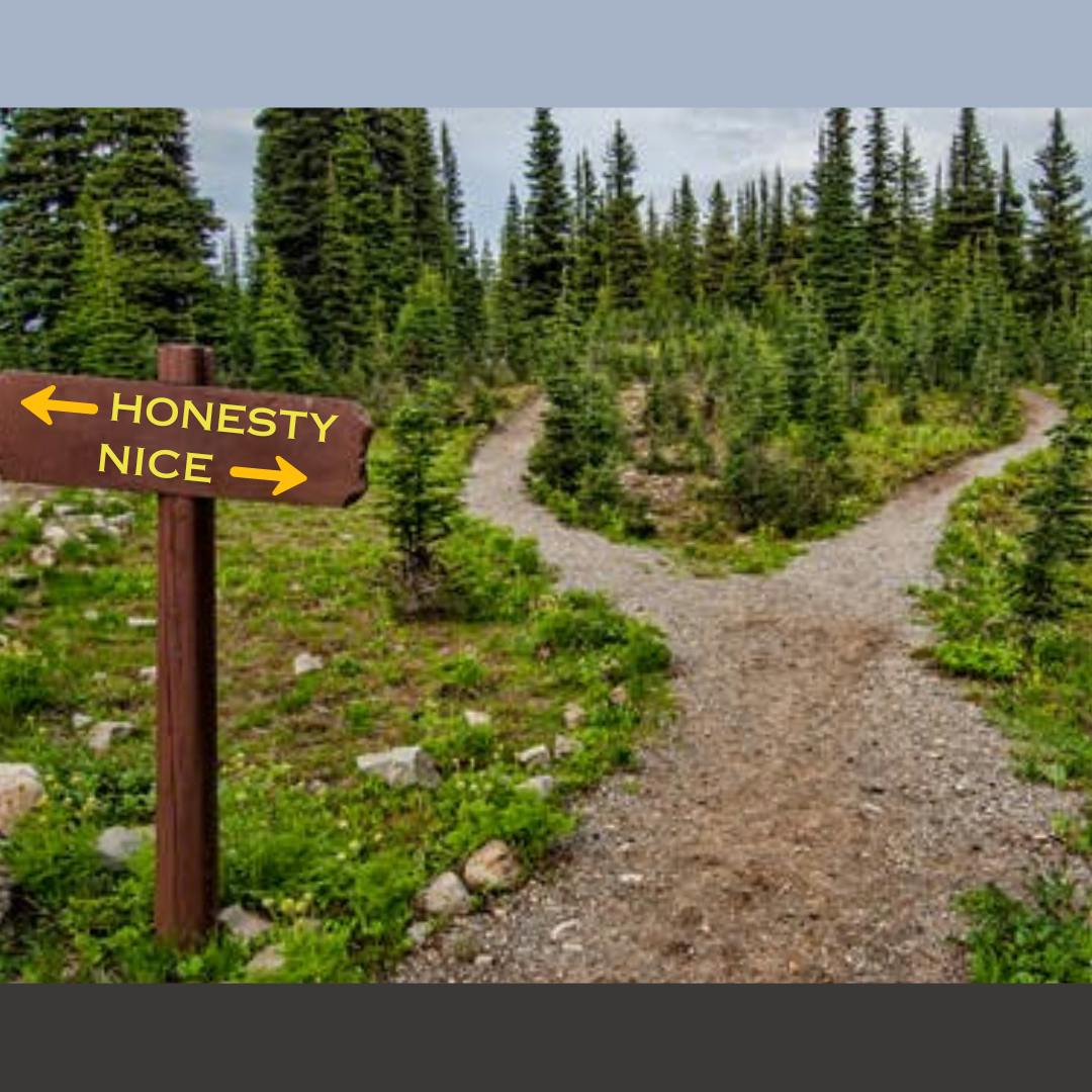 An image of a path diverging into two paths in the woods appears. A sign post points to the left path labeled "Honesty" and points to the right path labeled "Nice".