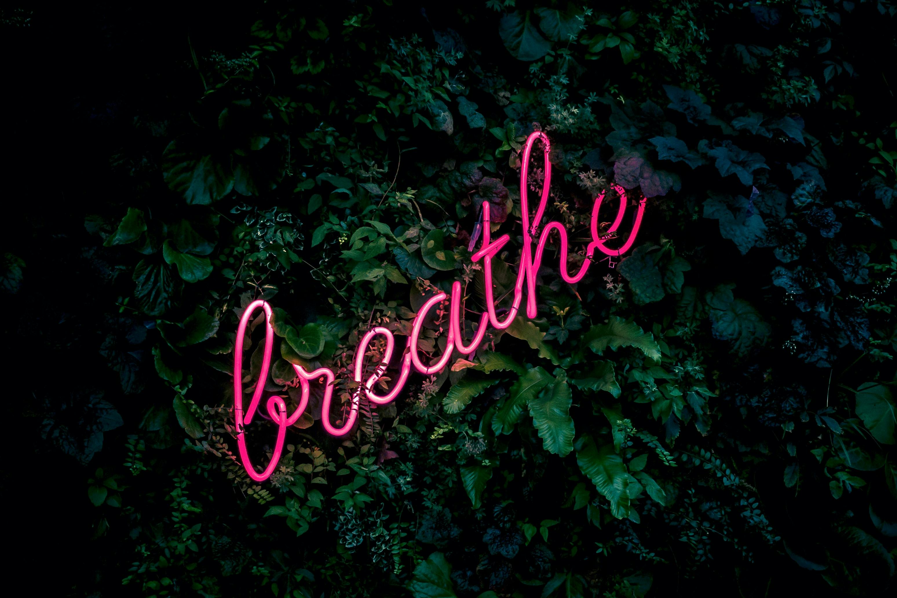 the word "breathe" in pink neon lights against a backdrop of green leaves 