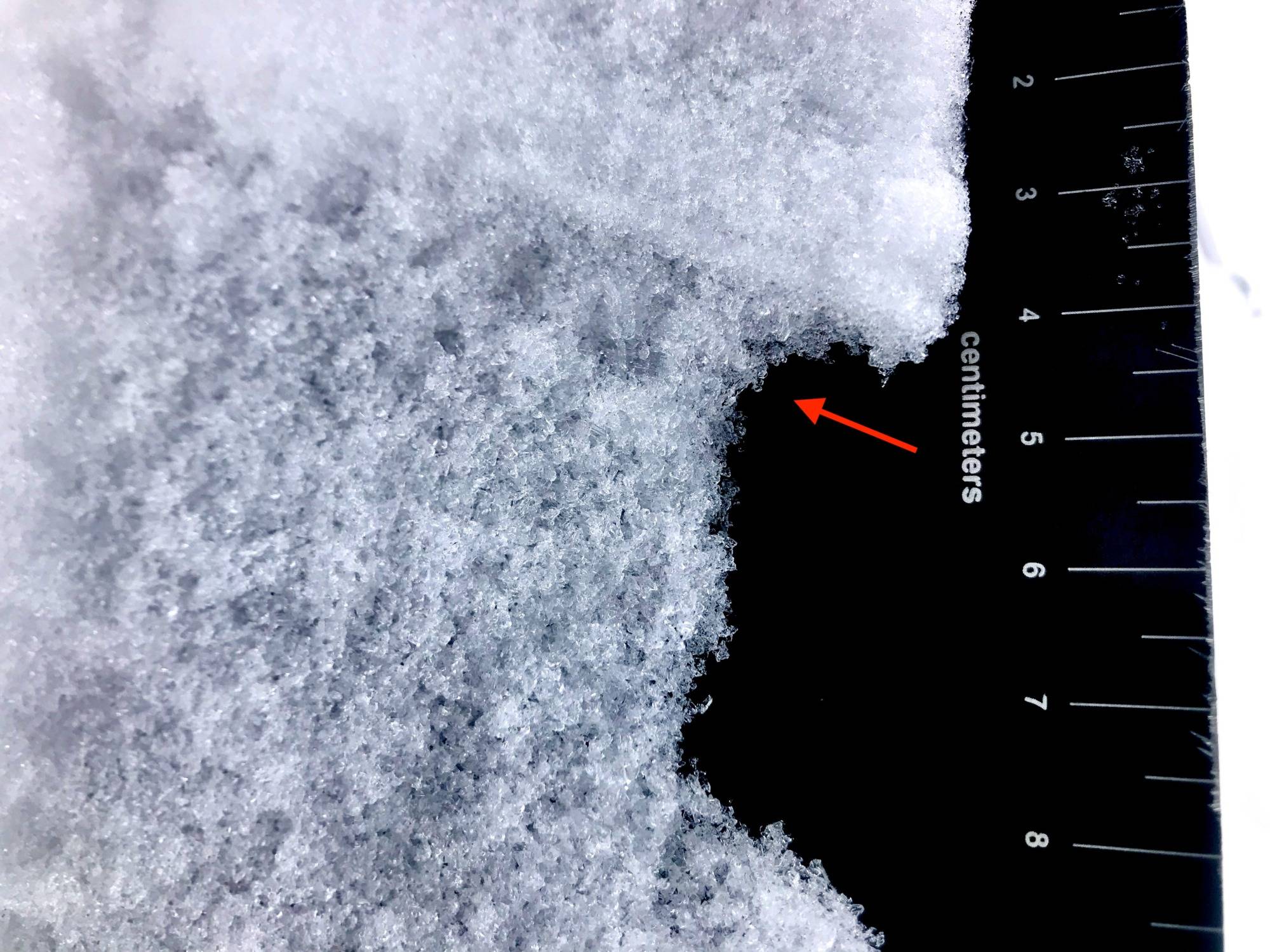 Close-up of faceted snow crystals from an early-season snowpack, showing angular, sugary grains