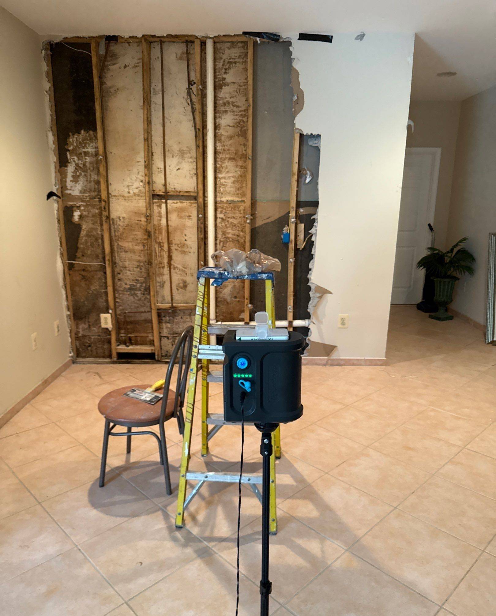 Mold testing