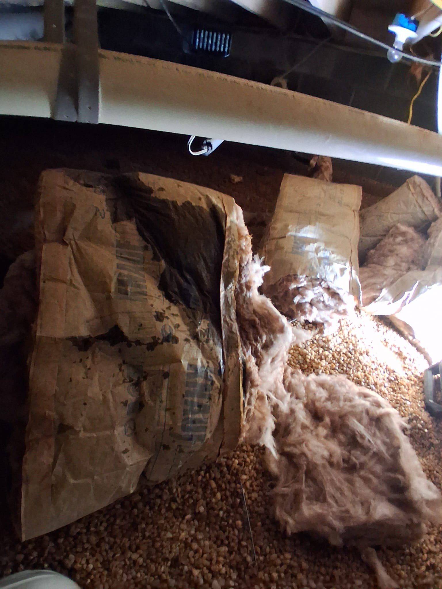 Crawlspace insulation down