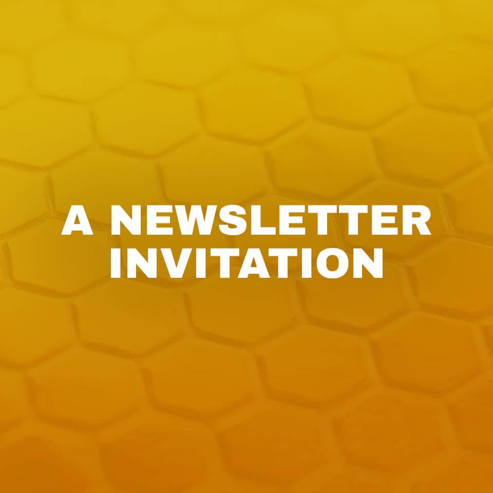 A newsletter invitation