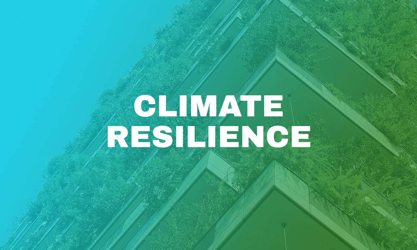 Climate Resilience