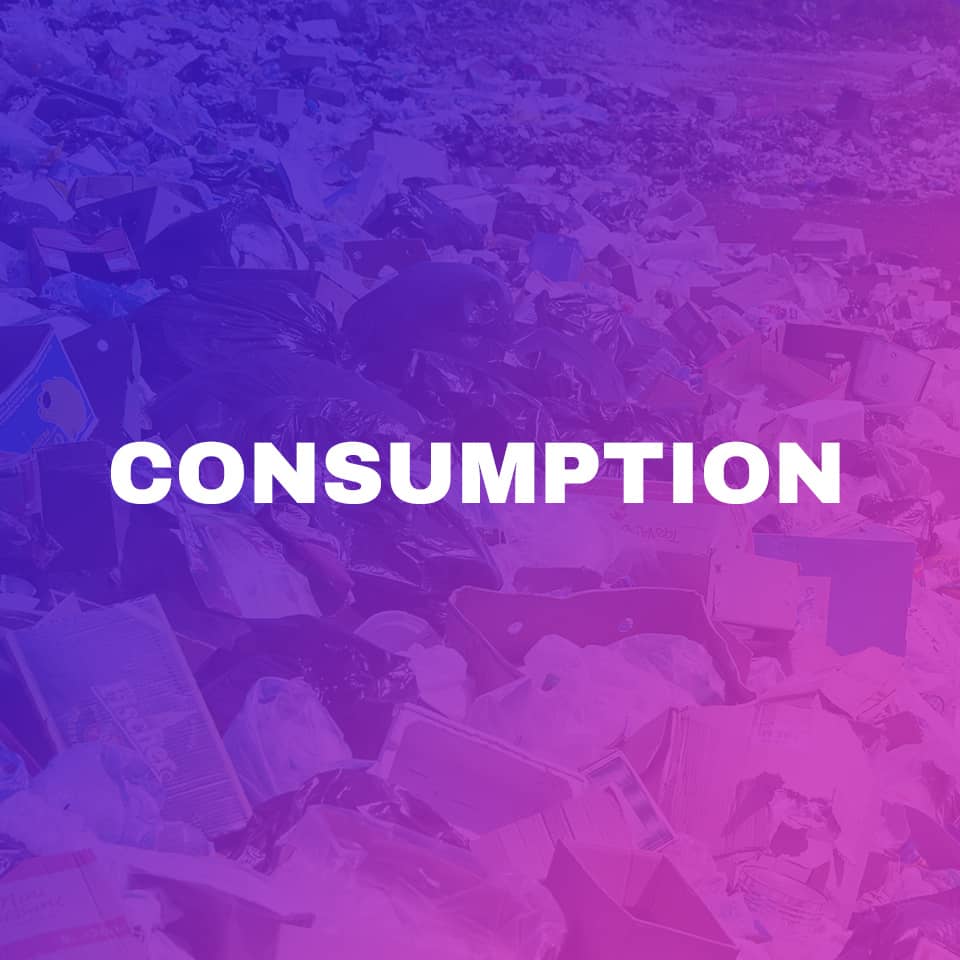 Consumption