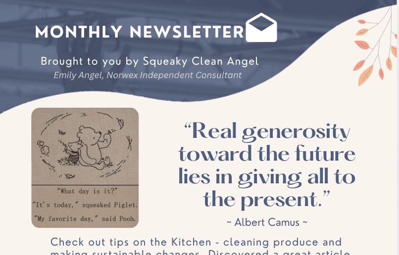 Newsletter screenshot