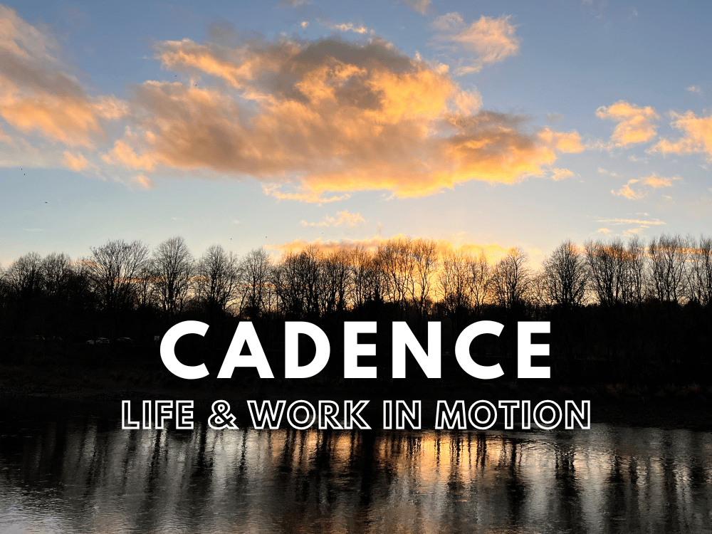 Cadence Life & Work in Motion Edition 94. Background Image of sunset behind trees across water, by Mich Bondesio.