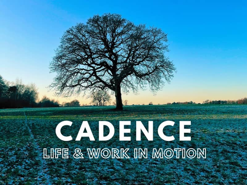 Cadence Newsletter 93 banner wording against image of tree in midst of winter at sundown.