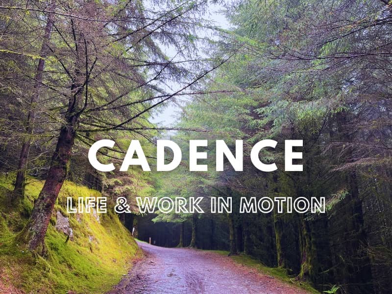 Cadence Newsletter Banner against image of a forest path, taken by Mich Bondesio in Whinlatter Forest.