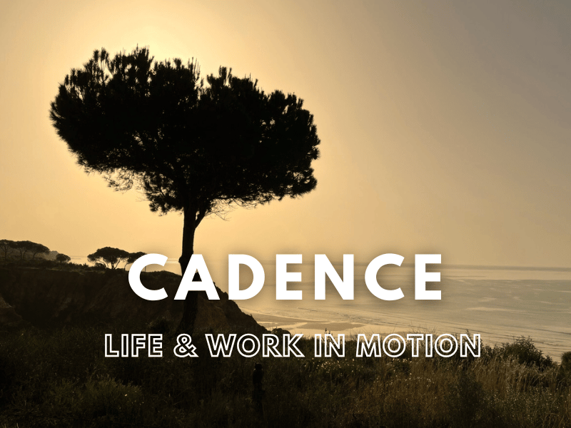 Cadence Newsletter edition no. 100 by Mich Bondesio. Lone tree on a hill at sunrise
